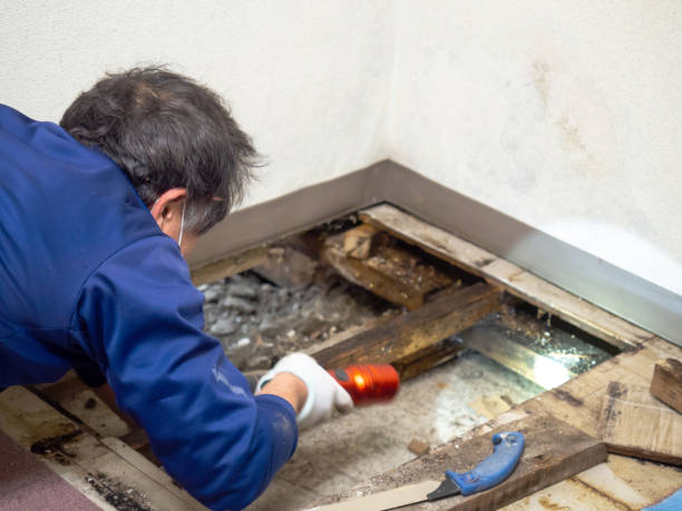 Best Mold Testing  in Elim, PA