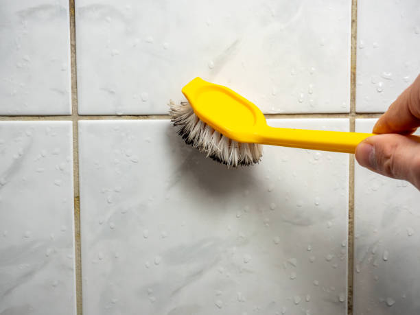 Best Emergency Mold Removal  in Elim, PA