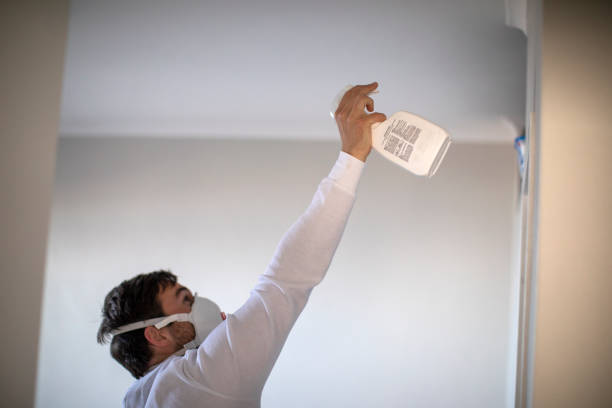 Best Same-Day Mold Removal  in Elim, PA