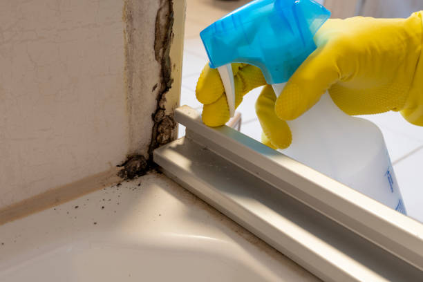 Best Office Mold Removal Services  in Elim, PA